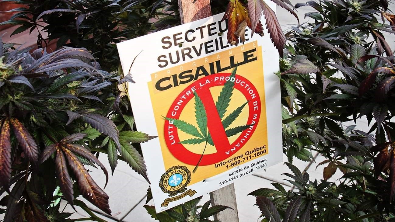 Des voleurs se font passer pour des policiers