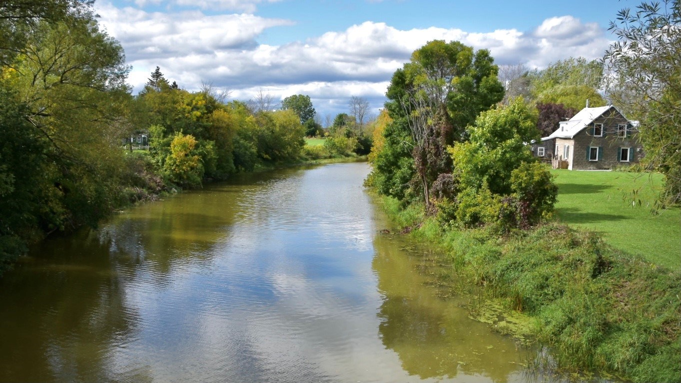 Les poissons seraient morts de cause naturelle dans la rivière Rigaud selon le ministère