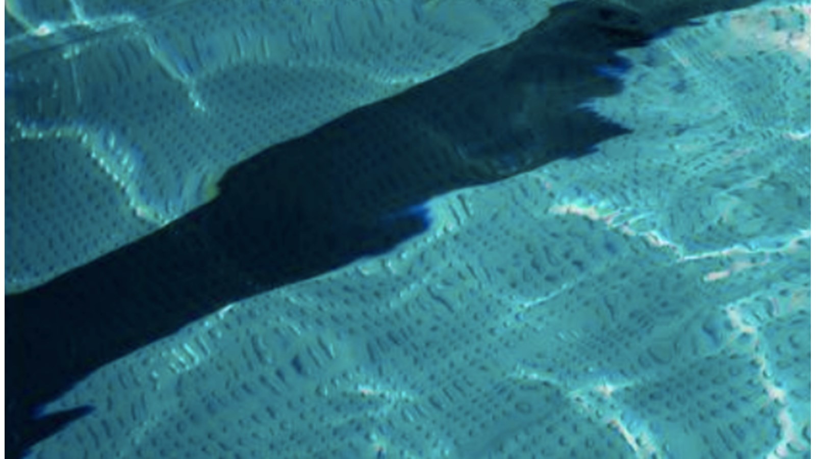 Rigaud: c'est le moment de s'inscrire au cours d'aquaforme