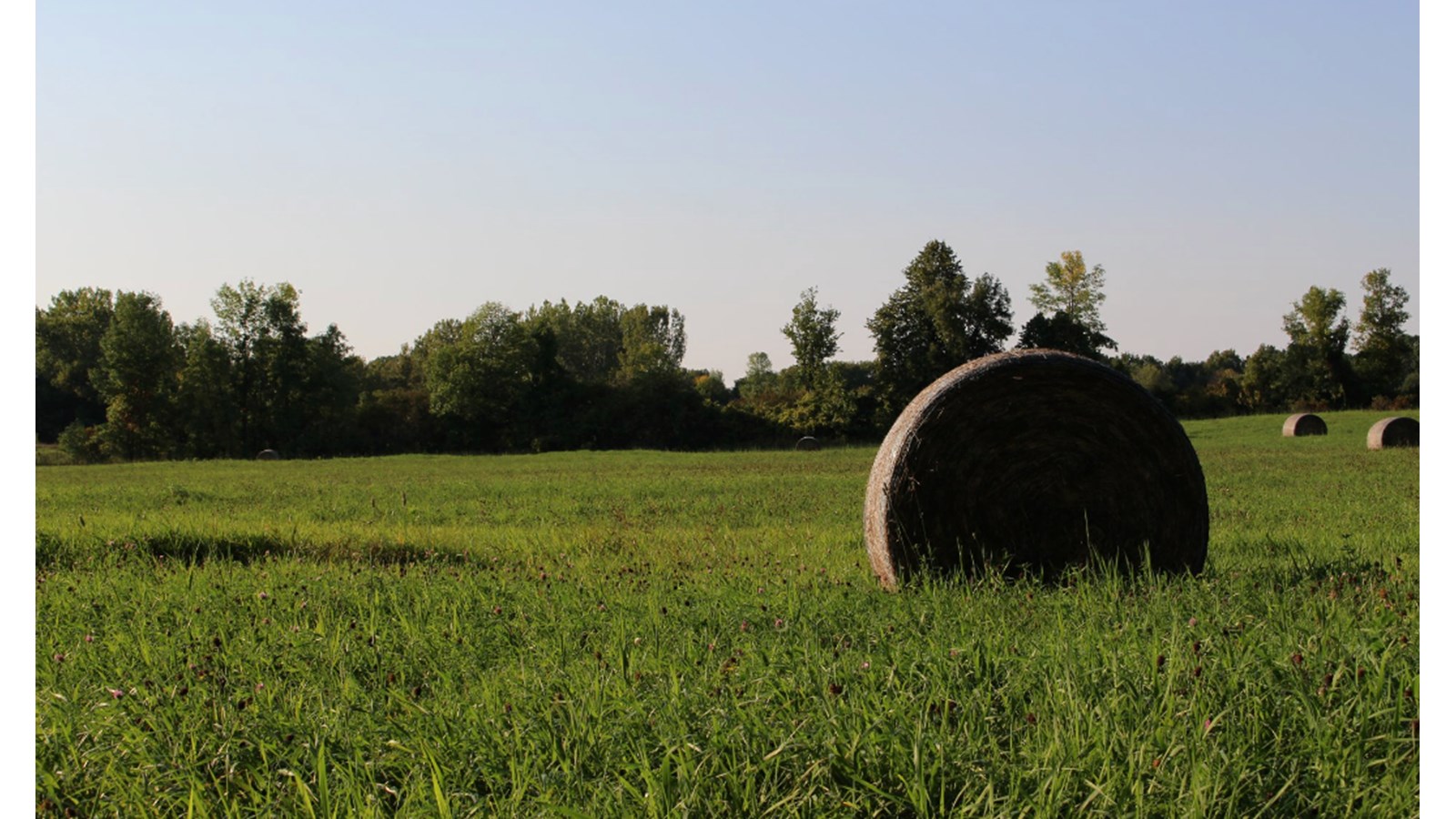 Producteurs agricoles propriétaires recherchés par la Ville de Rigaud 