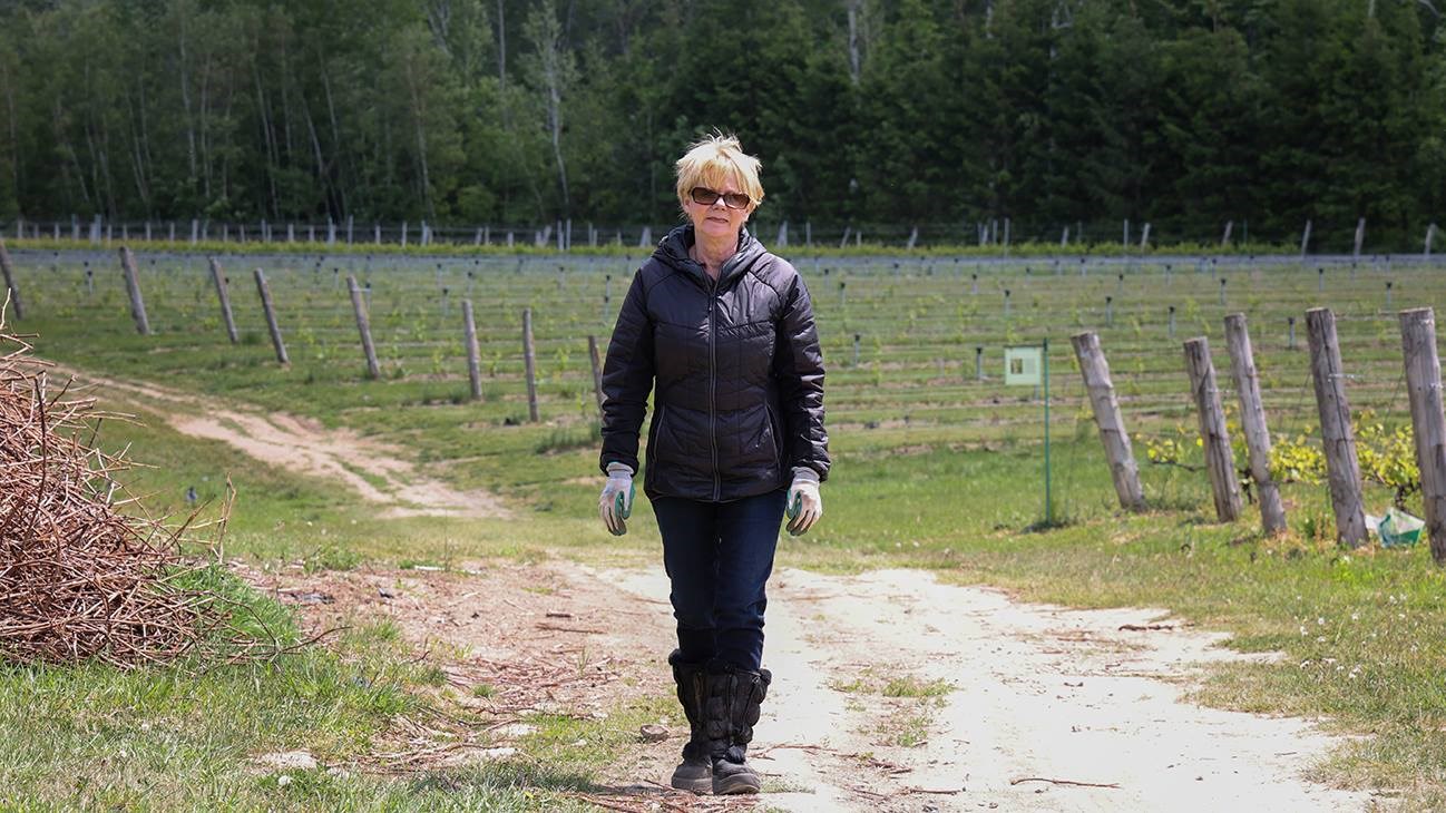 Un printemps difficile pour des vignerons de la région