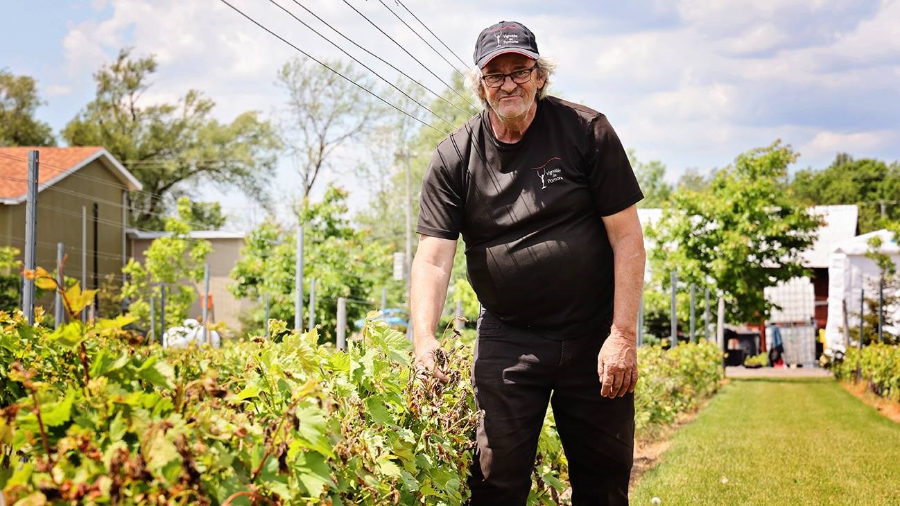 Un investissement payant pour le Vignoble de Pomone