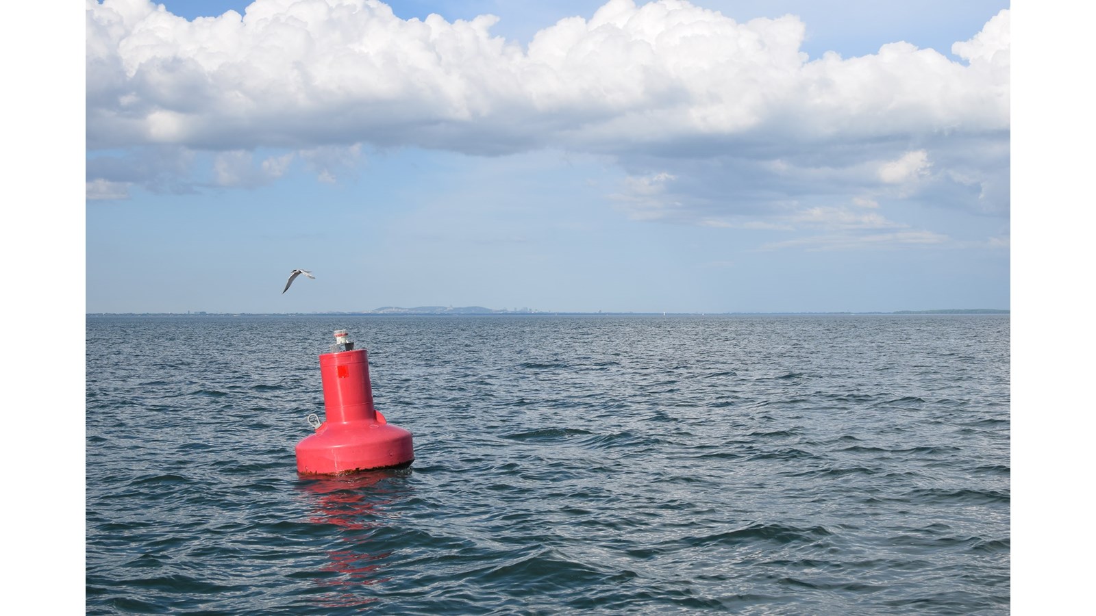 Une croisière sur le lac Saint-Louis pour briser la routine