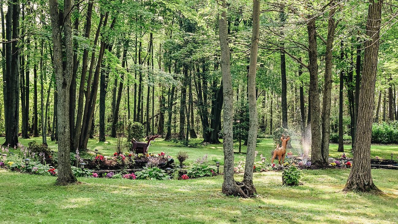 Vue sur un jardin fleuri du chemin Ranger à Saint-Polycarpe.