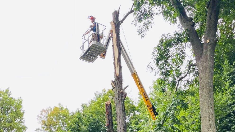 Sauvetage d'un travailleur pris à soixante-dix pieds du sol dans sa nacelle