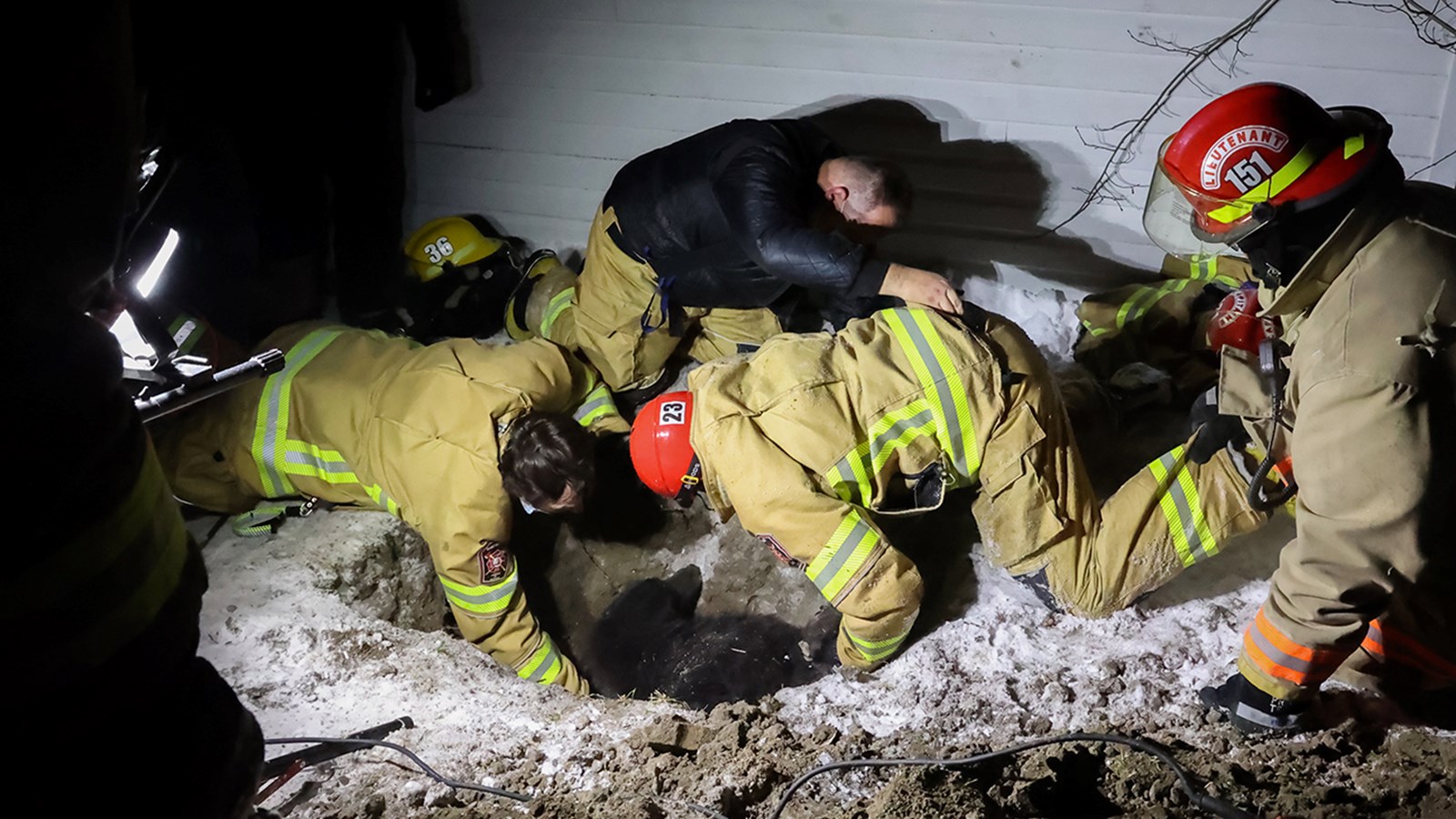 Après deux heures d'efforts, les pompiers de Saint-Zotique ont pu extirper Shelby du tuyau pluvial dans lequel la bête s'était enfoncée 