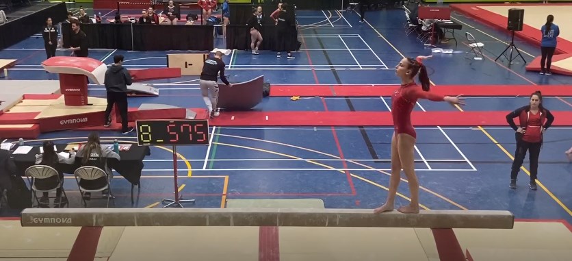 Belles performances des gymnastes de Gymini