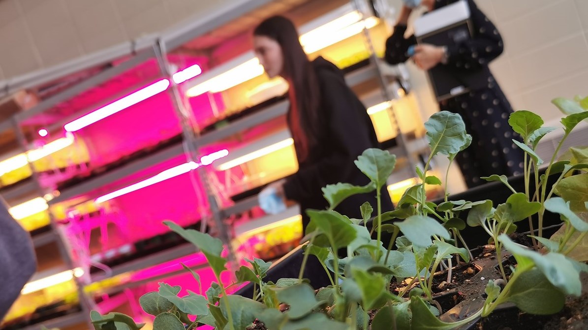 Le Projet Vert lance son projet de bacs de jardinage