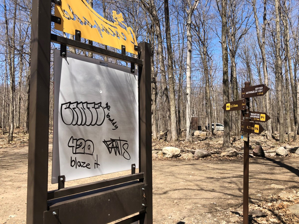 Vandalisme: La Ville de Rigaud demande l'aide de la population