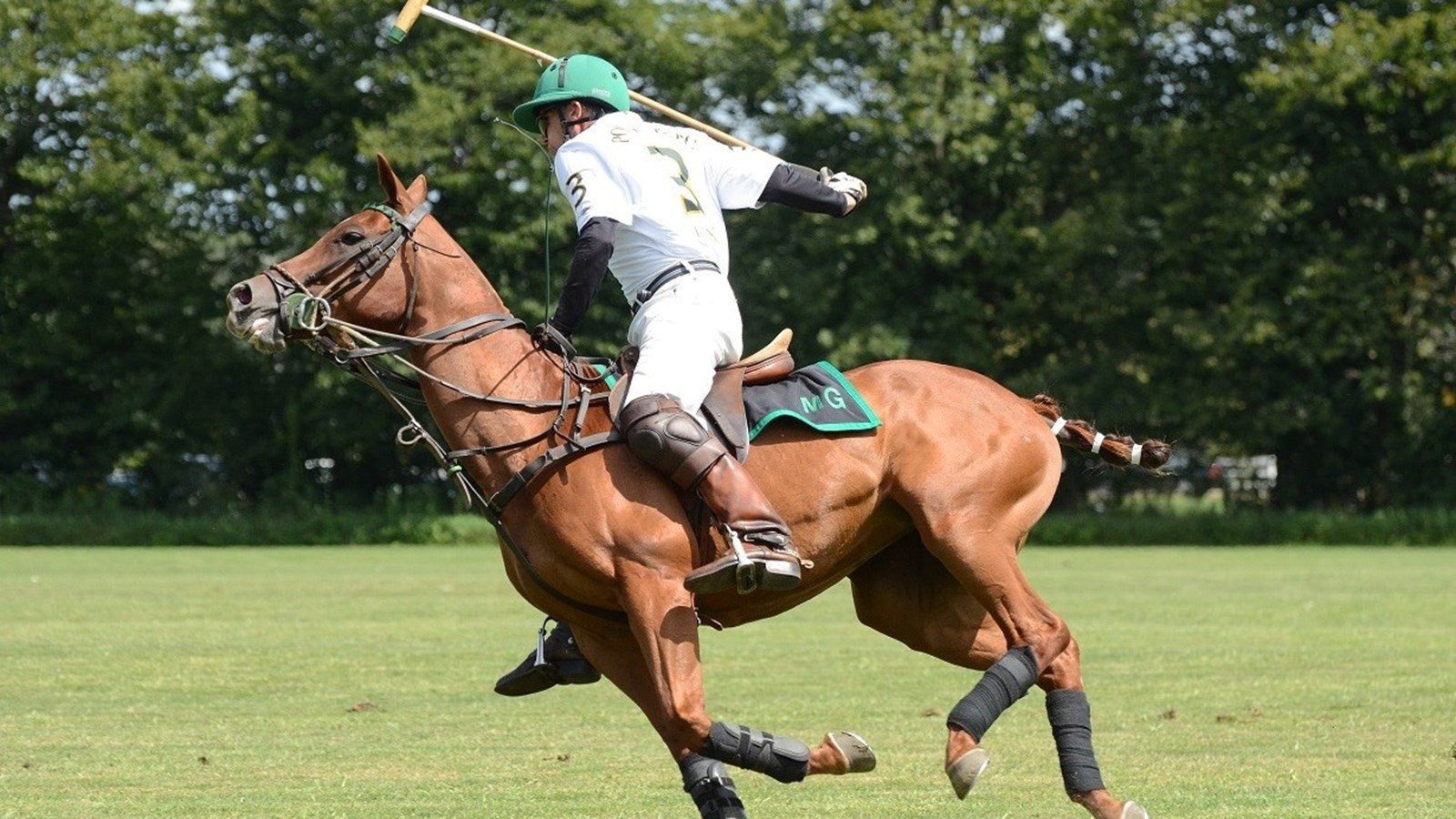 Tournoi de polo: inscriptions en cours pour assister aux joutes