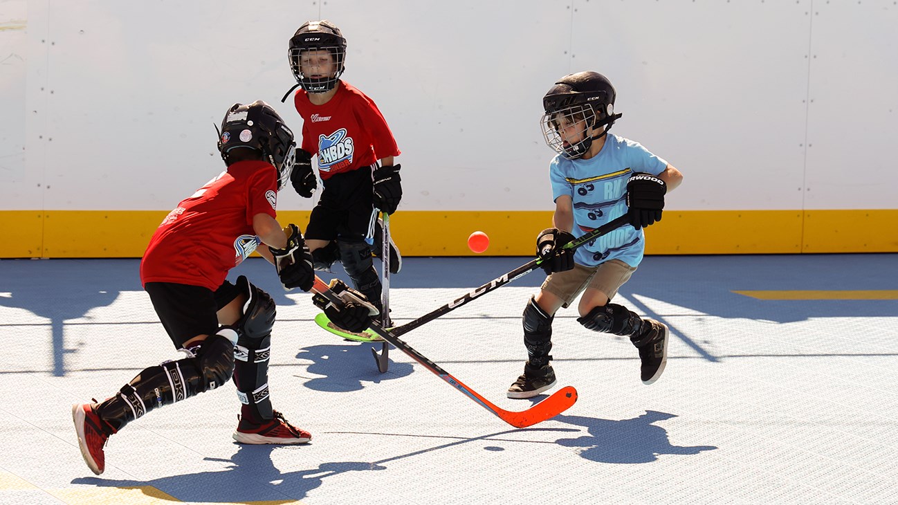 Une fin de saison enlevante pour l'AHBDS Junior