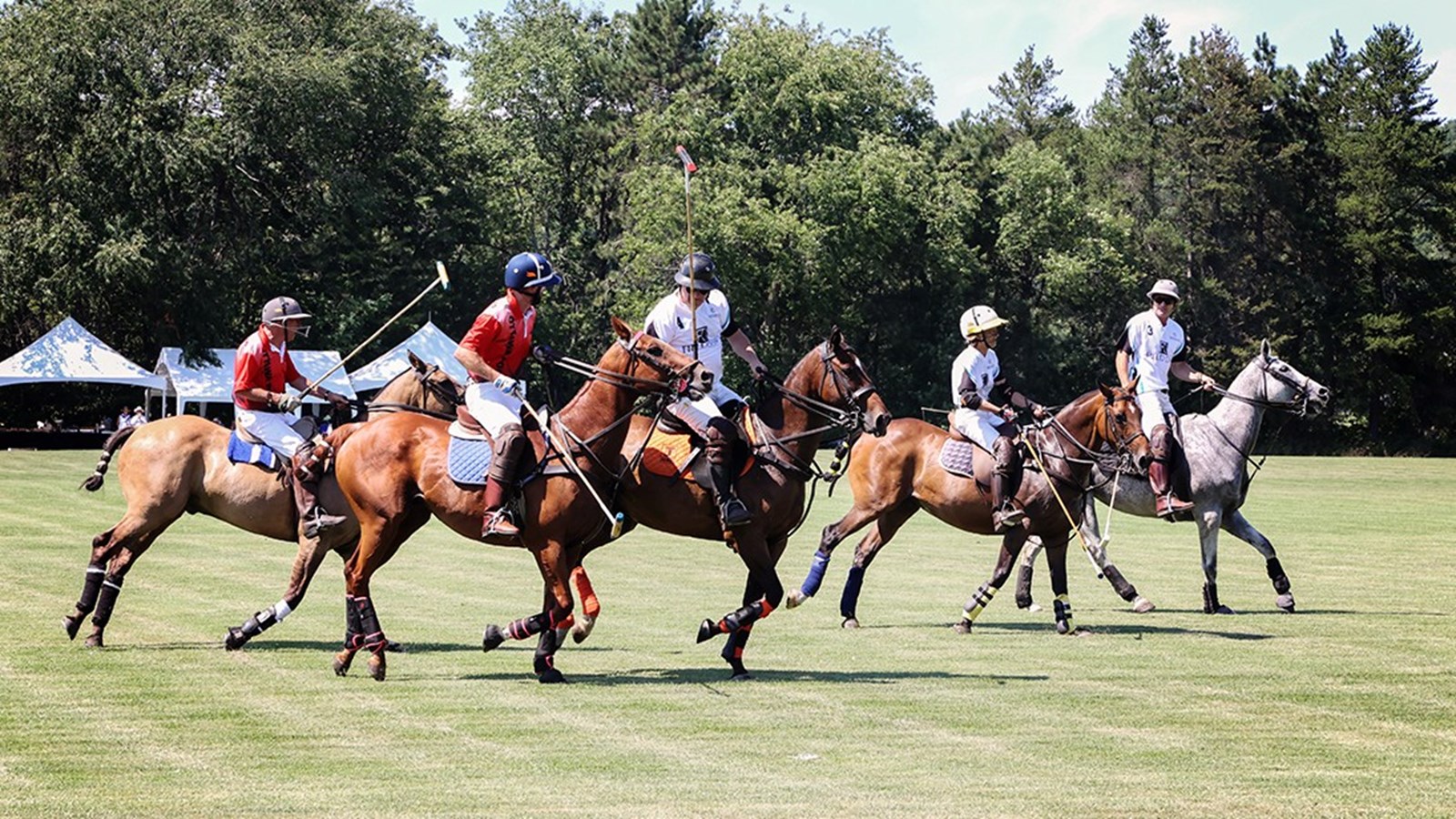 Près de 150 personnes assistent au match polo à Sainte-Marthe