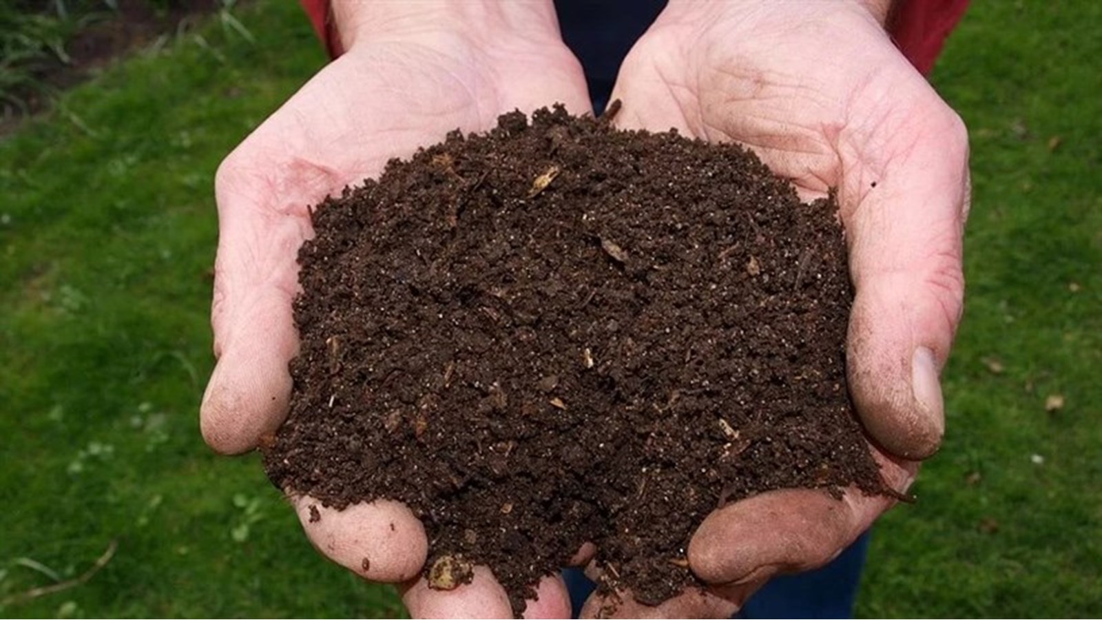Compost offert gratuitement à Rigaud en octobre
