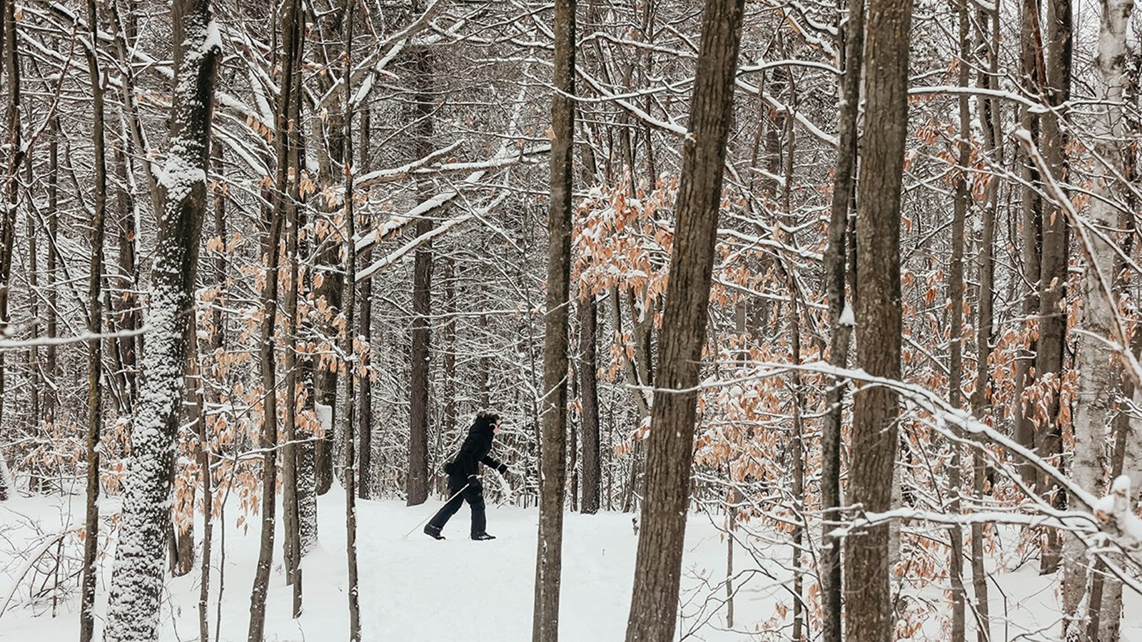 Des sourires et de belles rencontres au parc nature Les Forestiers