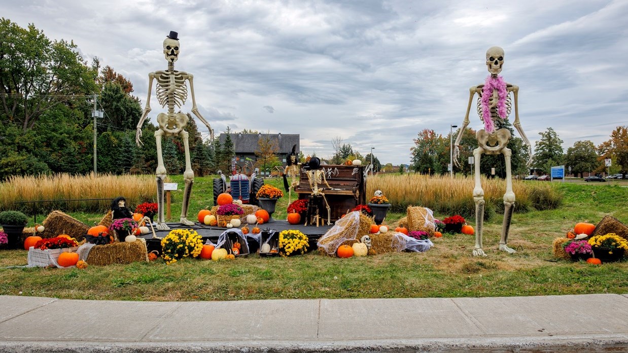 Pianist skeletons return to Vaudreuil-Dorion this year  