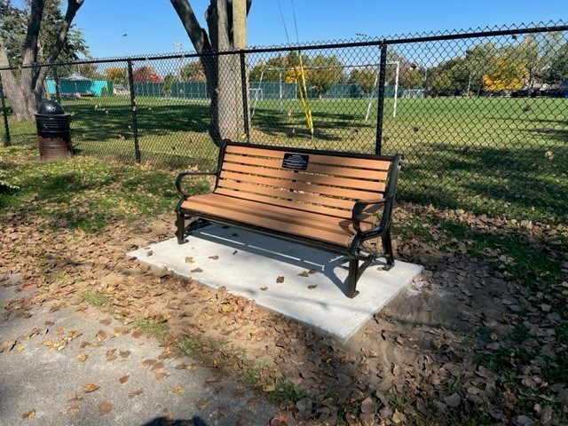 Le banc Donald Downs au parc Bellevue (l'installation n'est pas complète sur la photo)