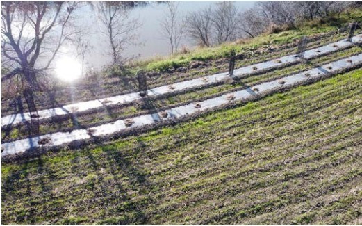Ferme Normandeau de Saint-Étienne-de-Beauharnois 