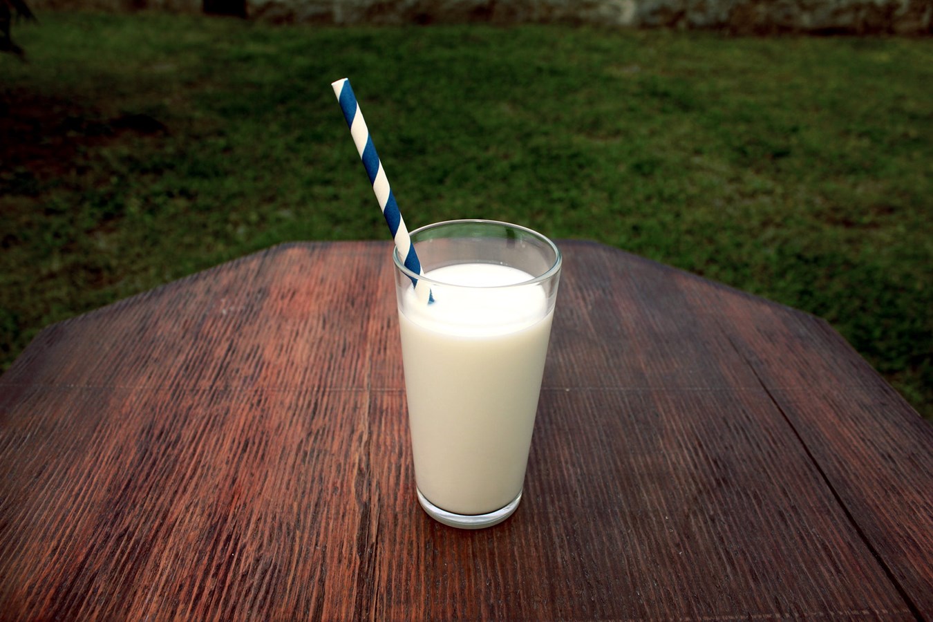 Les producteurs de lait offrent le lait en cadeau de Noël