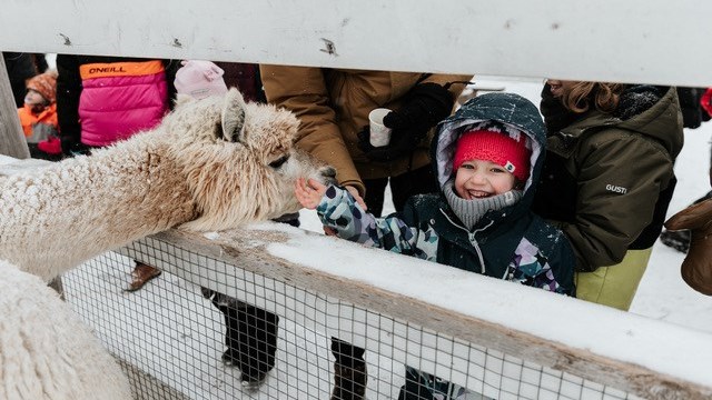 Le Carnaval hivernal de La Belle et ses Bêtes attire plusieurs centaines de familles