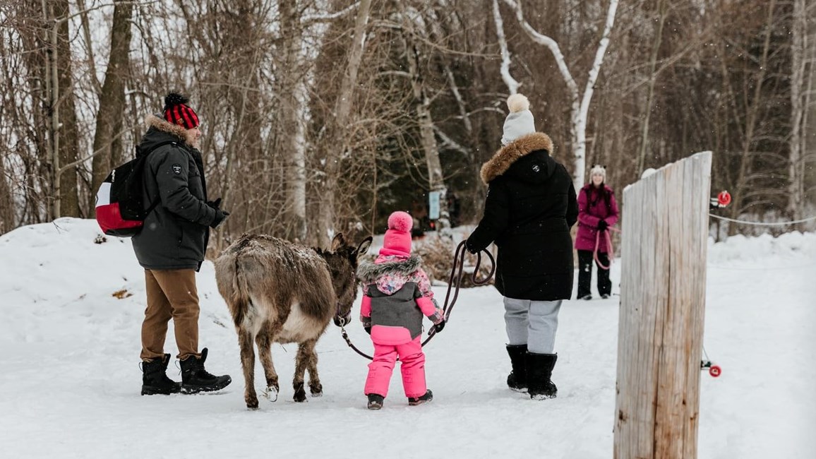 Le Carnaval hivernal de La Belle et ses Bêtes attire plusieurs centaines de familles