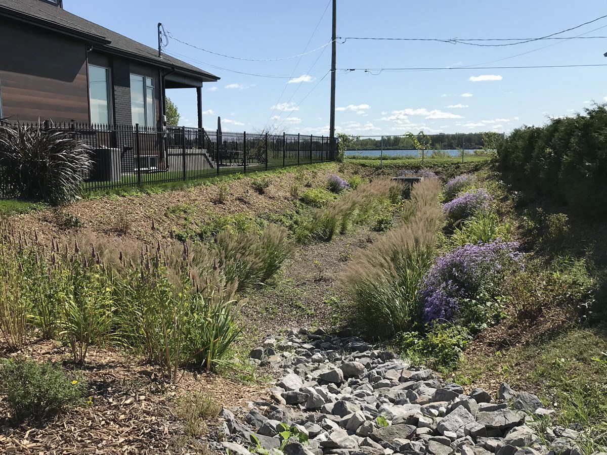 Un aménagement pro-biodiversité conçu par la Ville récompensé