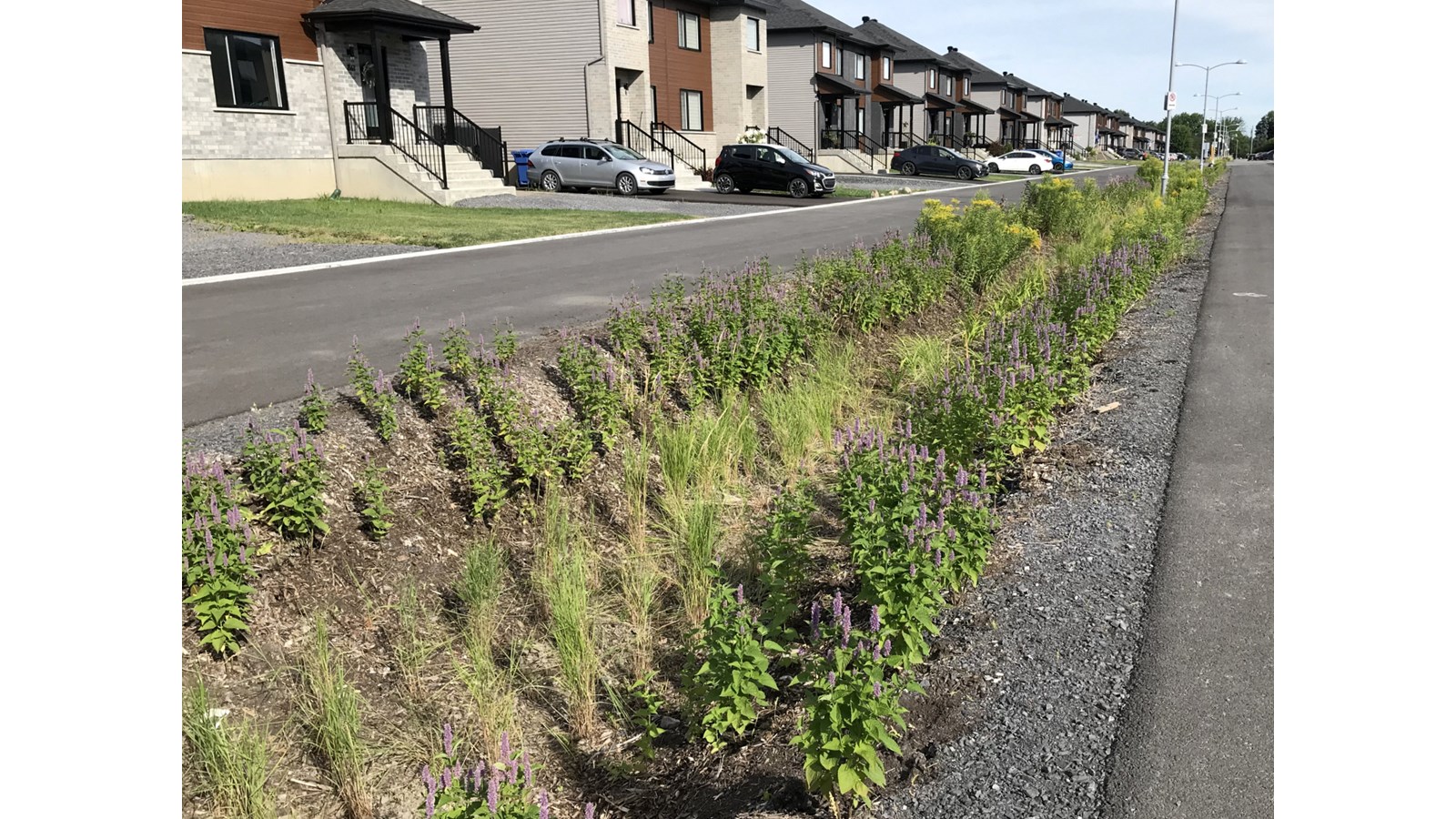 Un aménagement pro-biodiversité conçu par la Ville récompensé