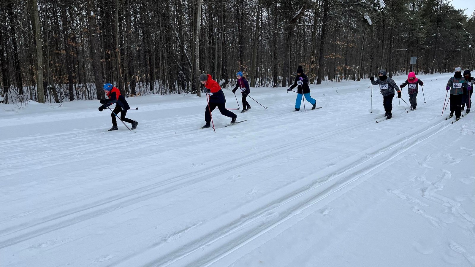 Le ski de fond, une discipline à découvrir selon Ski de fond Sud Ouest