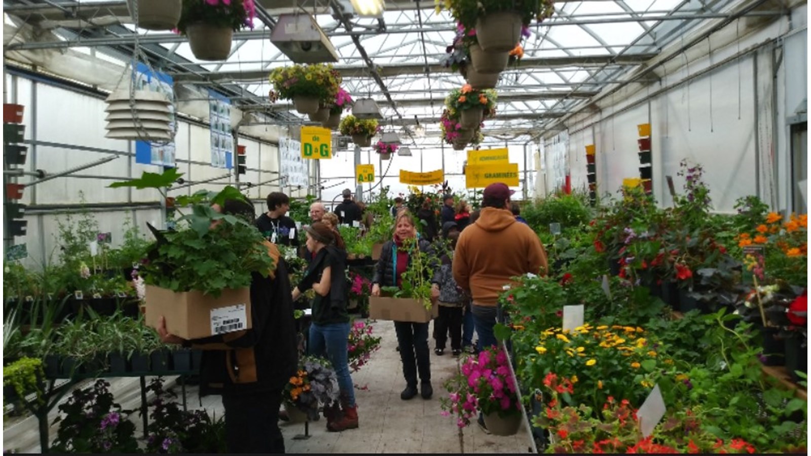 Retour de l'activité Moissons en fleurs les 12 et 13 mai à Beauharnois