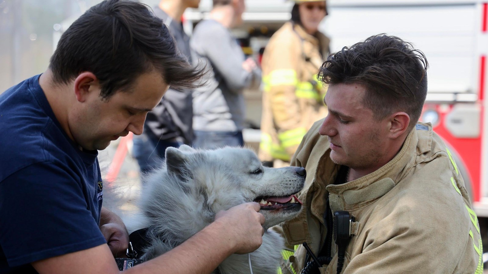 À la suite d'une enquête du Service de sécurité incendie visant à déterminer les circonstances du brasier, le chien Lucas a été mis hors de cause
