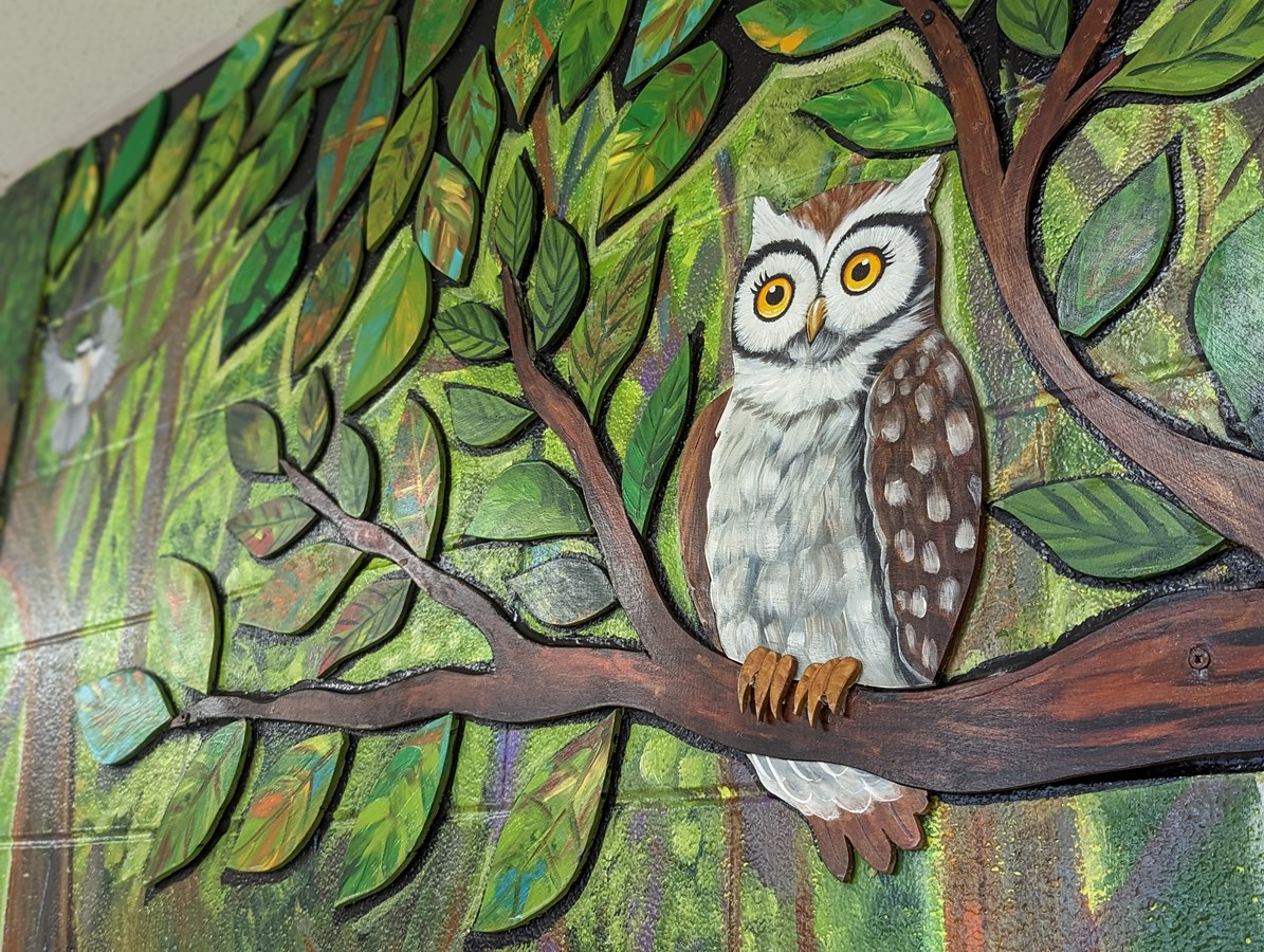 L'École Léopold-Carrière inaugure sa « forêt enchantée »