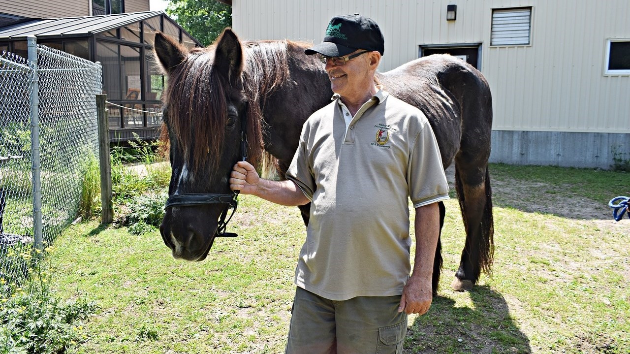 Journée du cheval à Saint-Lazare: une première édition réussie