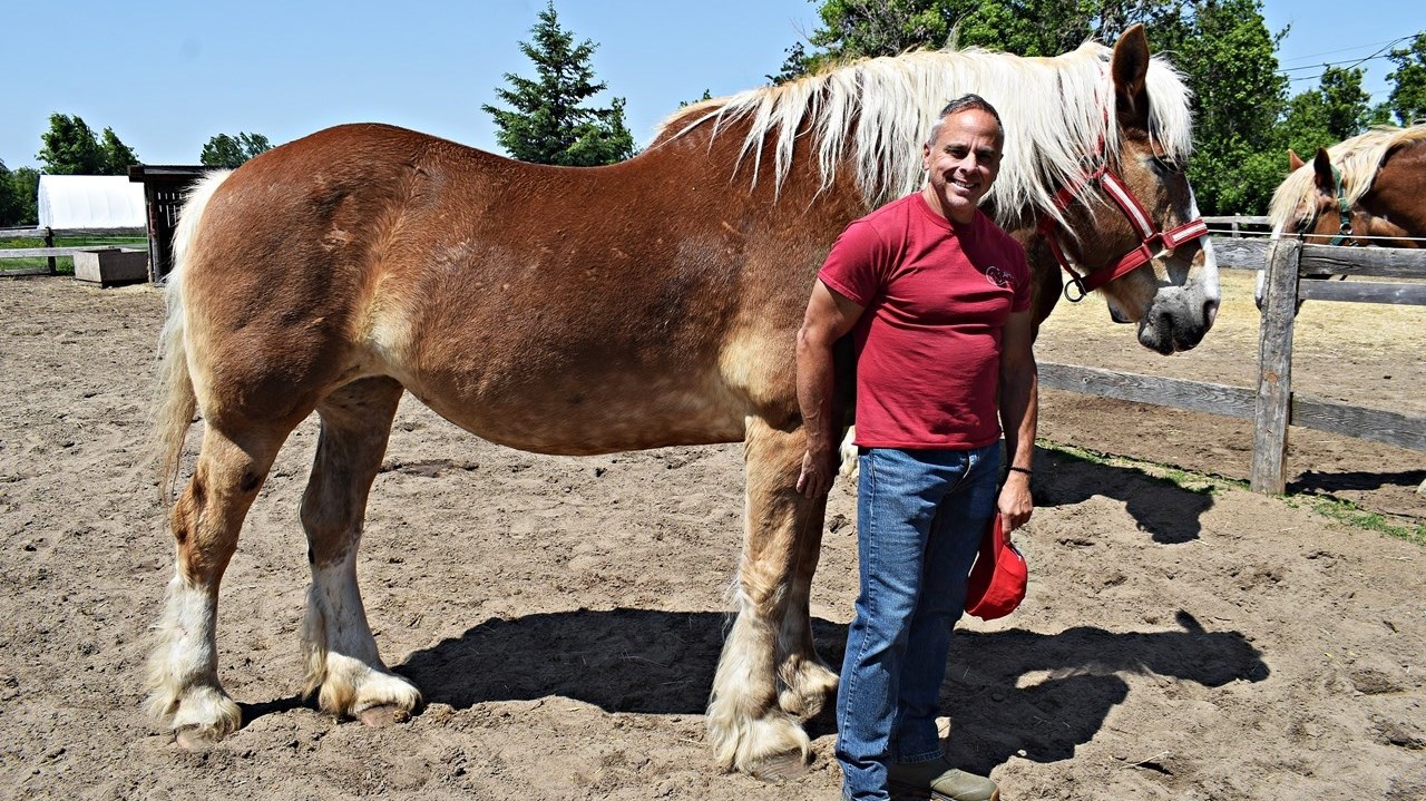 Journée du cheval à Saint-Lazare: une première édition réussie