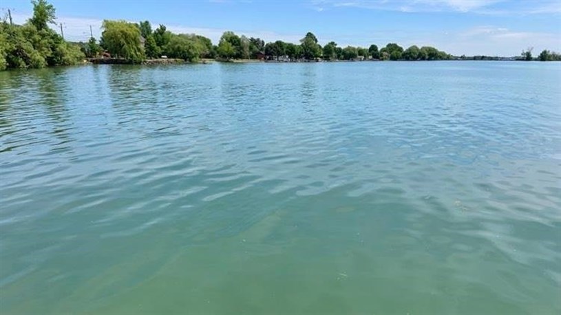Une nouvelle espèce envahissante observée dans les eaux du lac Saint-François