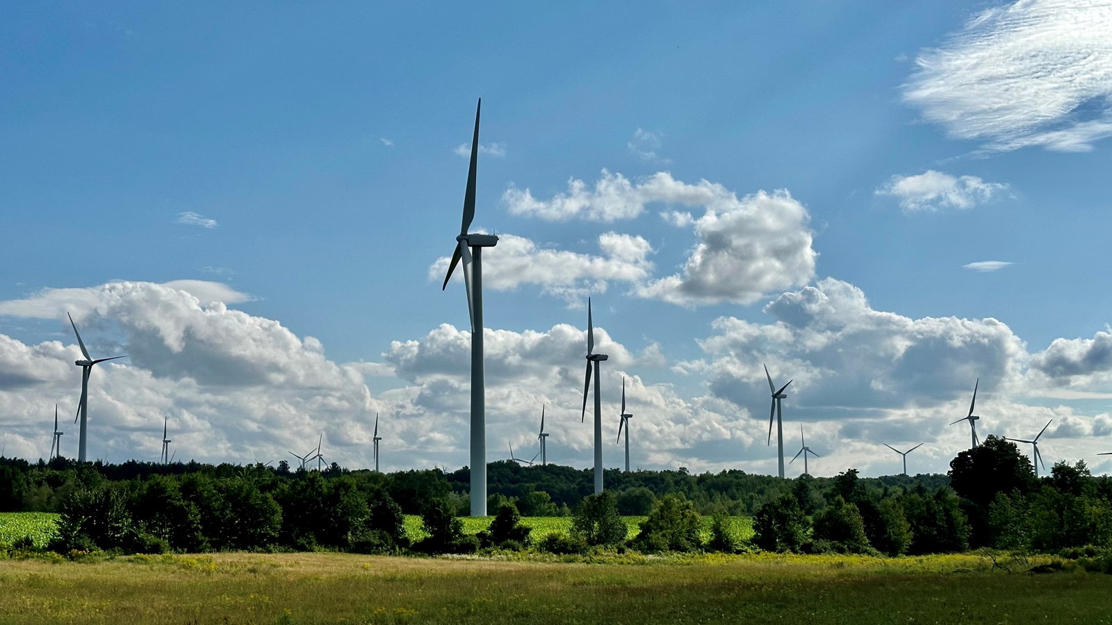 Le projet d'éoliennes à Salaberry-de-Valleyfield est mis sur la glace