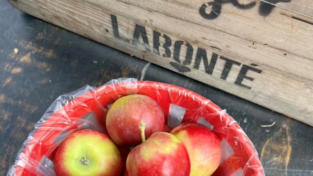 Verger Labonté finally obtains organic certification   