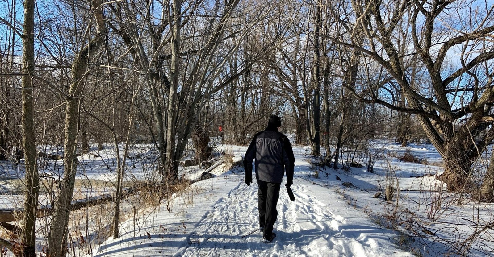 Pointe-des-Cascades : marche de nuit dans le Parc nature