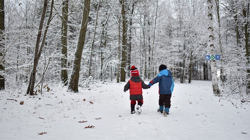 An evening under the stars at Saint-Lazare on February 17