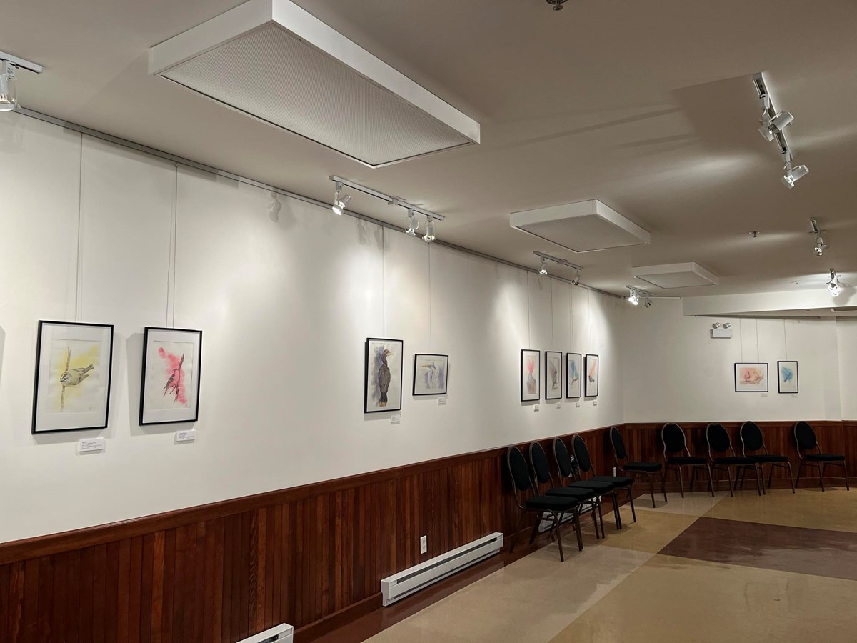 TRACE: La faune ailée au coeur de l'exposition de Jade Cousineau