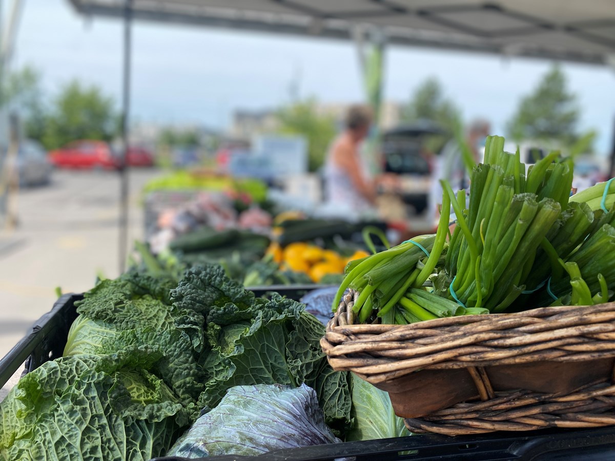 Retour du marché public de Salaberry-de-Valleyfield en 2024