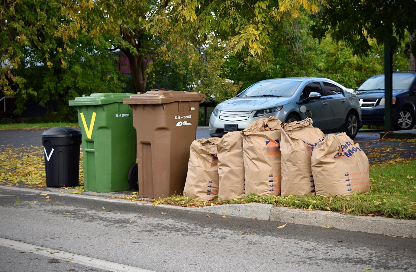 Retour de la collecte hebdomadaire pour le bac brun 