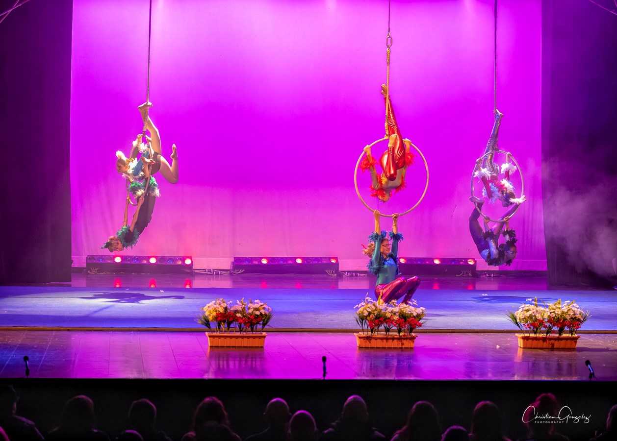 Des numéros spectaculaires pour le 3e spectacle du Festi-Cirque 2024