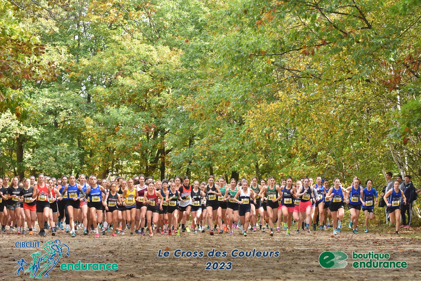 La région sélectionnée pour accueillir les Championnats provinciaux de cross-country