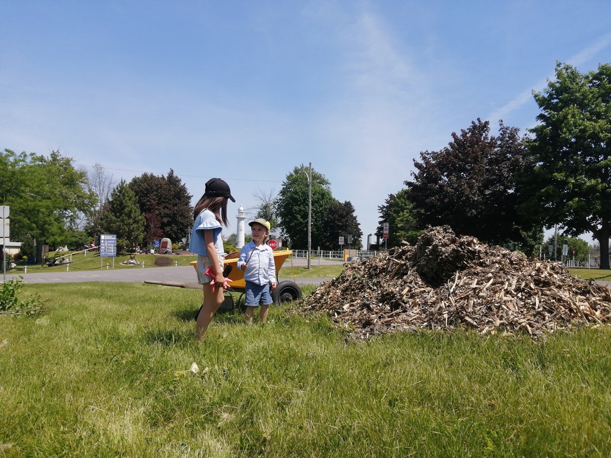 Pointes-des-Cascades plante 300 arbres avec Arbre-Évolution 
