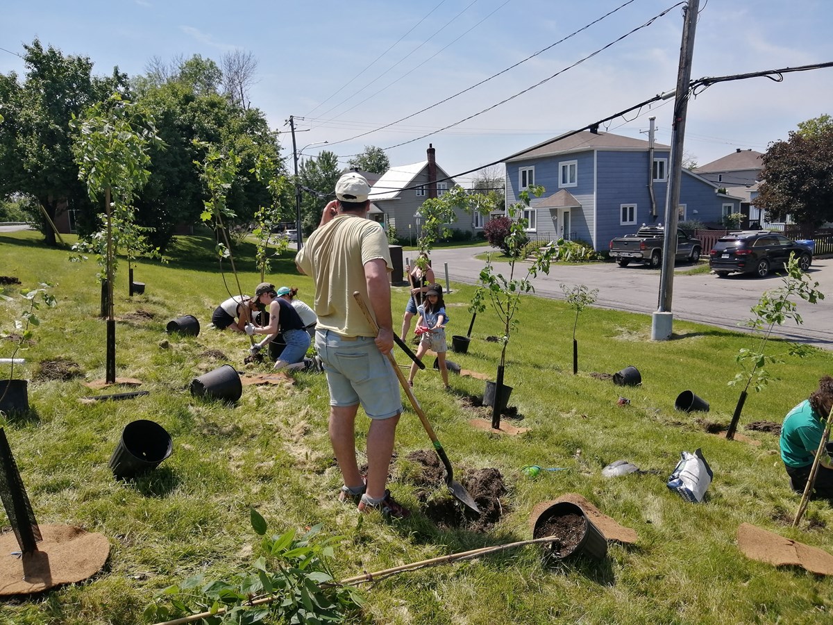 Pointes-des-Cascades plante 300 arbres avec Arbre-Évolution 