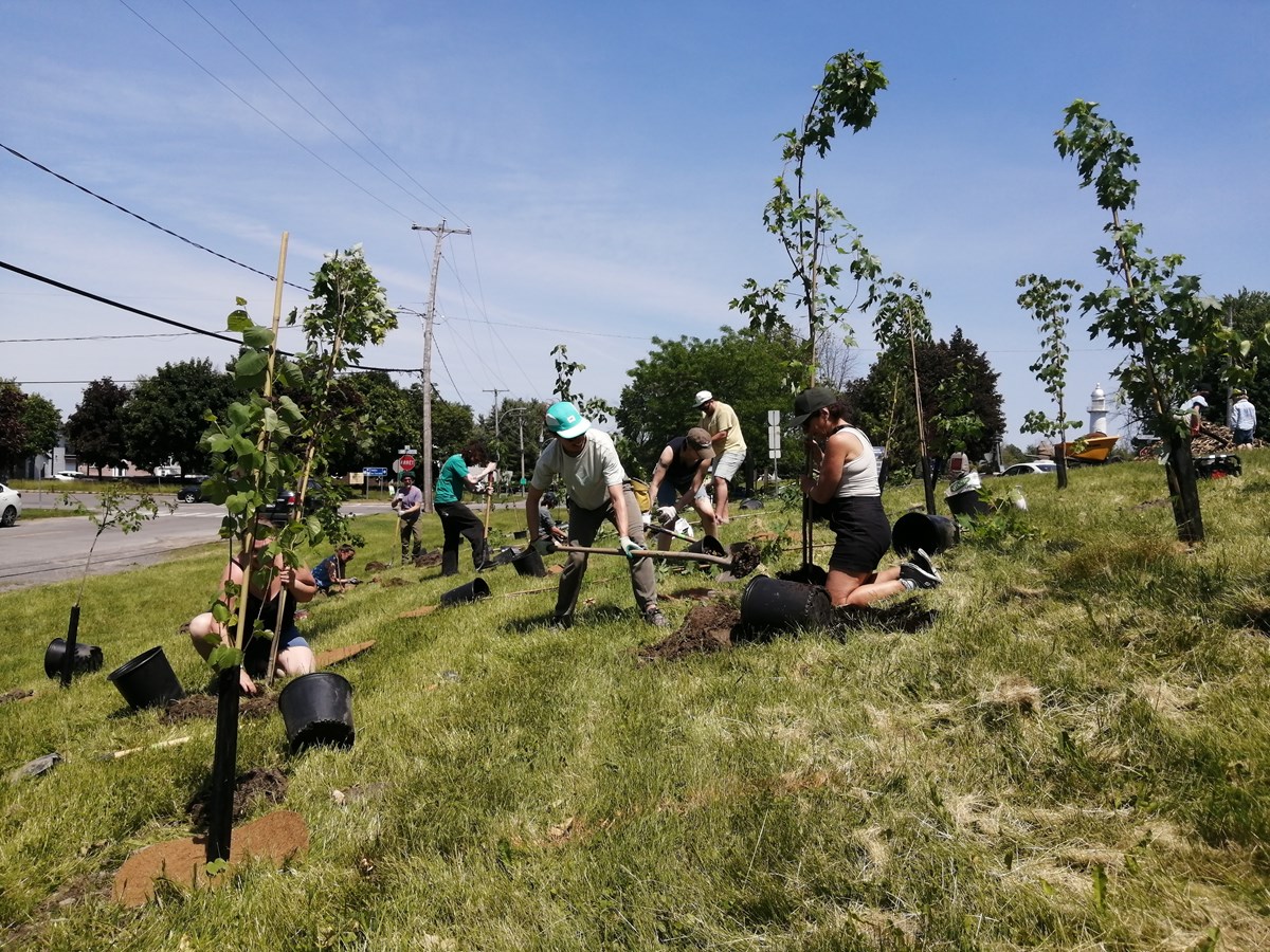 Pointes-des-Cascades plante 300 arbres avec Arbre-Évolution 
