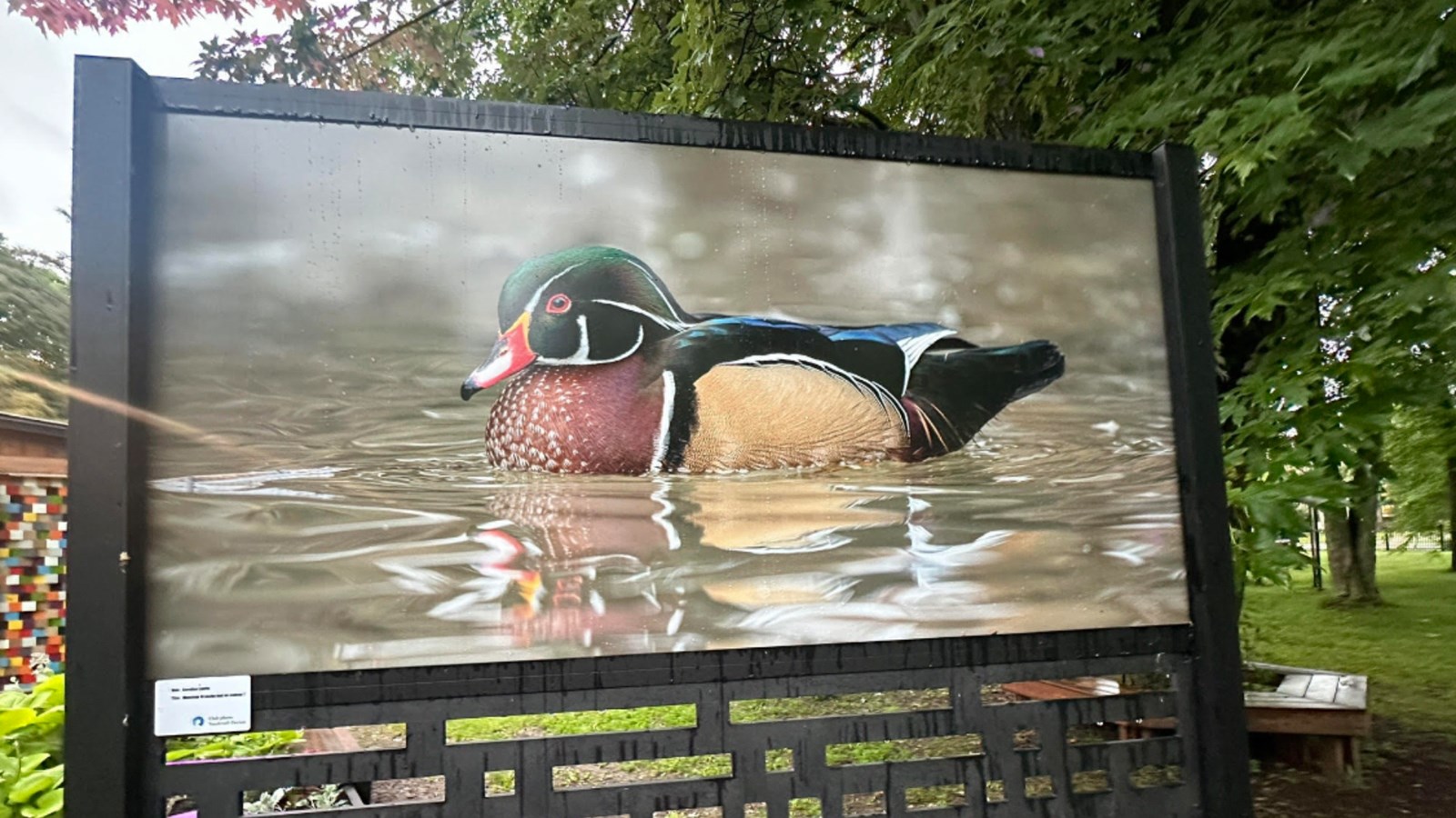 Photographie de Caroline Laurin