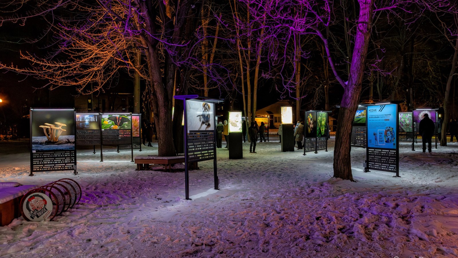 Découvrez la 5e édition de Lumin'Art au parc 405 d'ici le 16 février