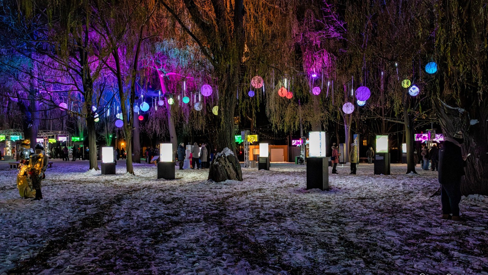 Découvrez la 5e édition de Lumin'Art au parc 405 d'ici le 16 février