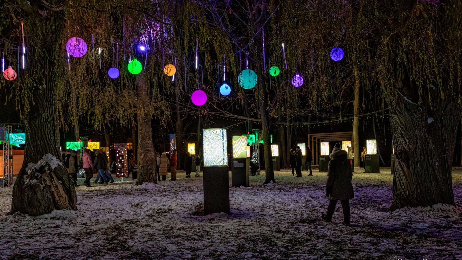 Découvrez la 5e édition de Lumin'Art au parc 405 d'ici le 16 février