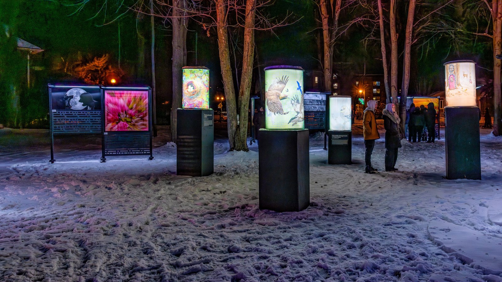 Découvrez la 5e édition de Lumin'Art au parc 405 d'ici le 16 février